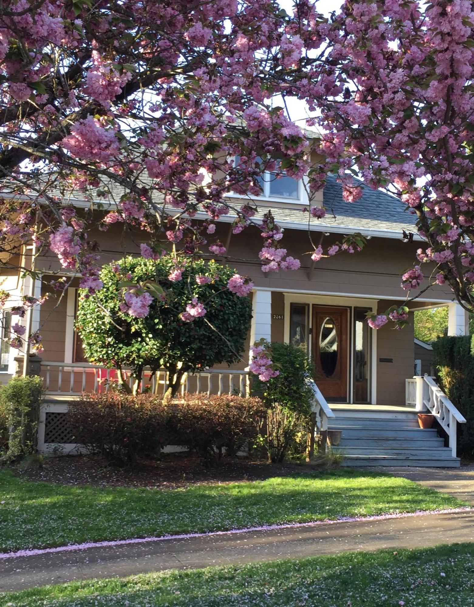 Southeast Portland Comfy & Eclectic Craftsman Home מראה חיצוני תמונה