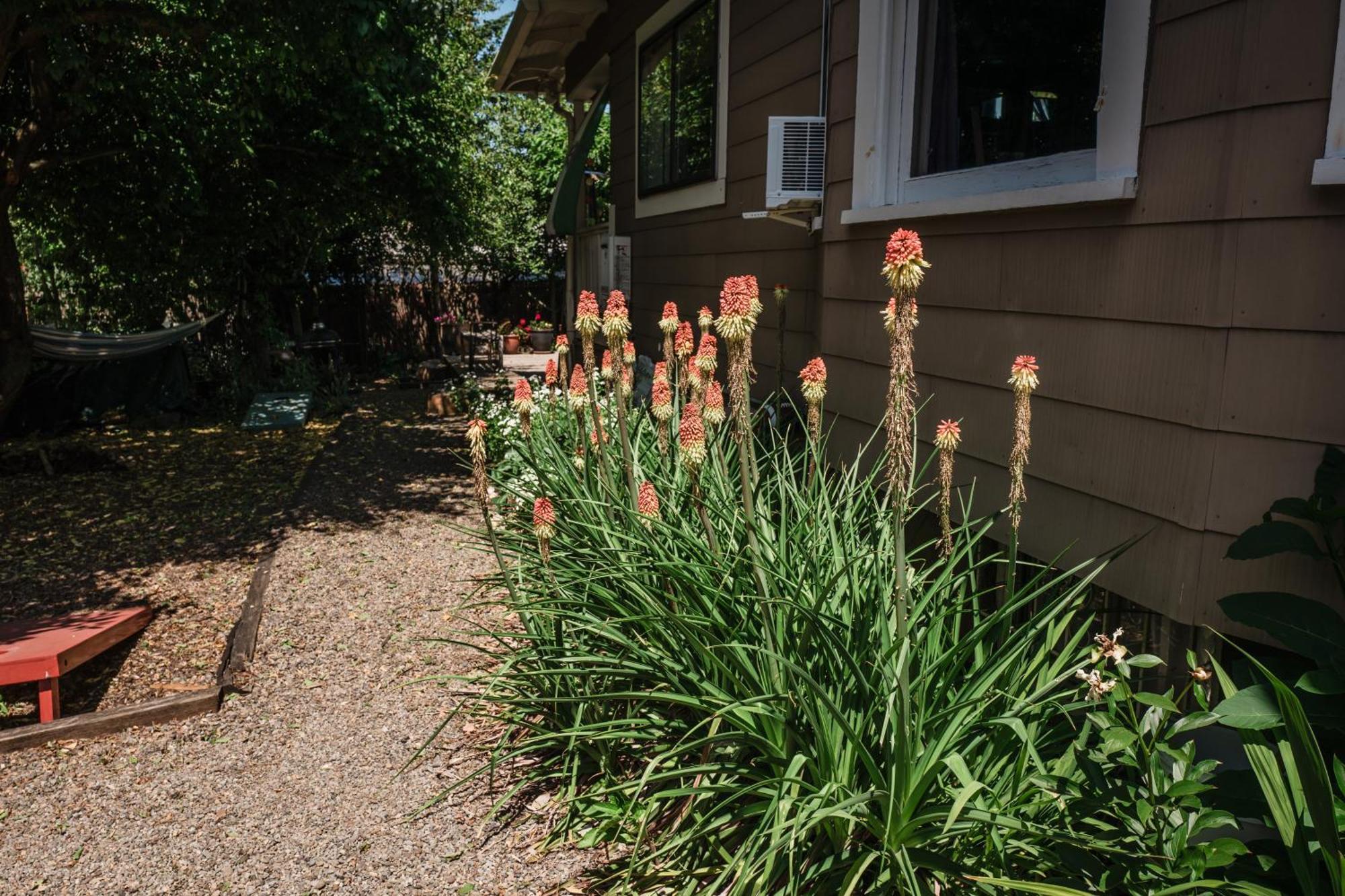 Southeast Portland Comfy & Eclectic Craftsman Home מראה חיצוני תמונה